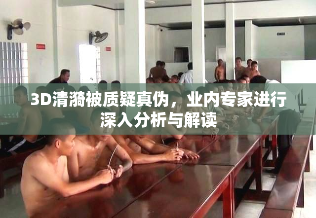 3D清漪被质疑真伪，业内专家进行深入分析与解读