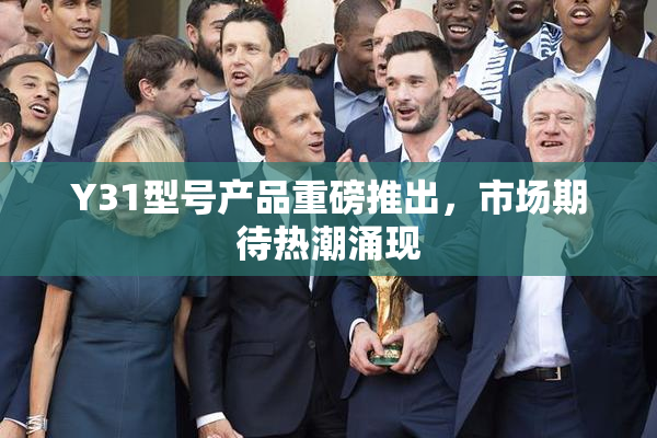 Y31型号产品重磅推出，市场期待热潮涌现