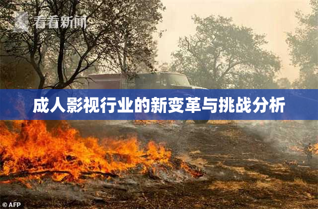成人影视行业的新变革与挑战分析
