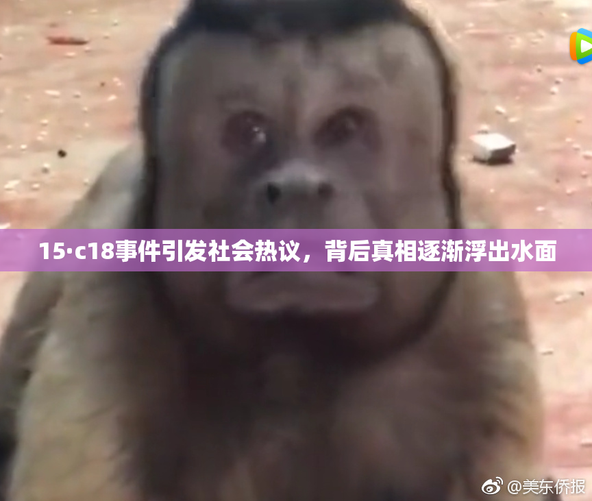 15·c18事件引发社会热议，背后真相逐渐浮出水面