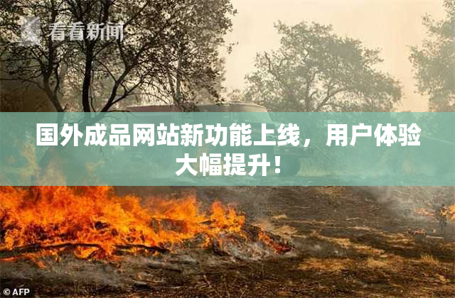 国外成品网站新功能上线，用户体验大幅提升！