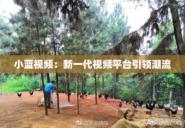 小蓝视频：新一代视频平台引领潮流