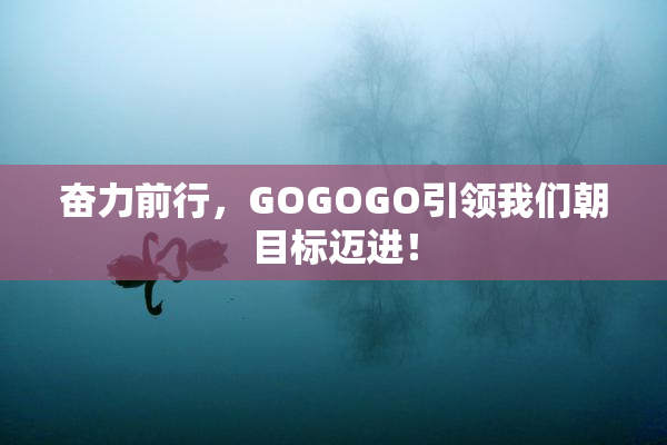 奋力前行，GOGOGO引领我们朝目标迈进！