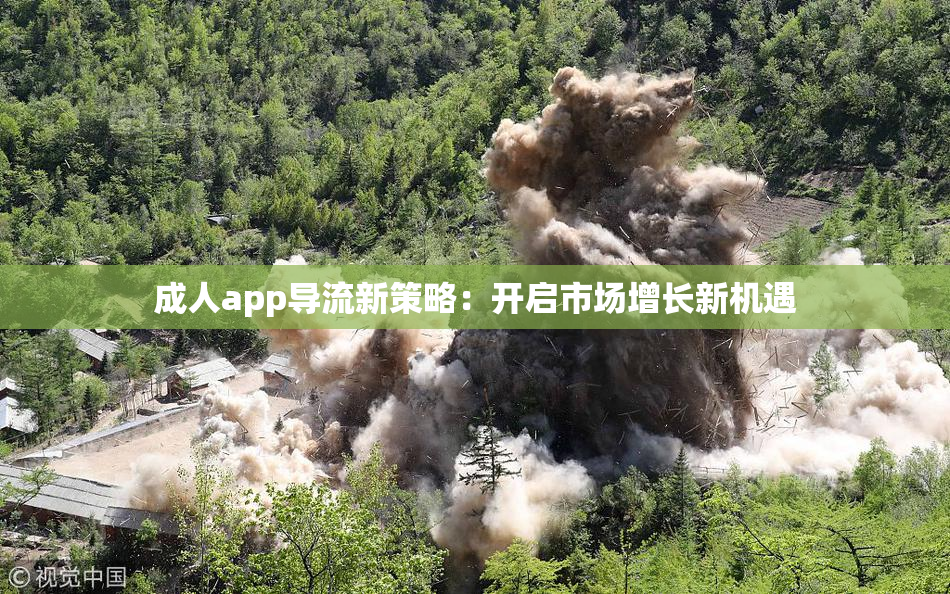 成人app导流新策略：开启市场增长新机遇