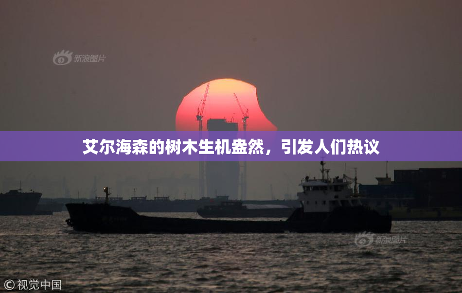 艾尔海森的树木生机盎然，引发人们热议