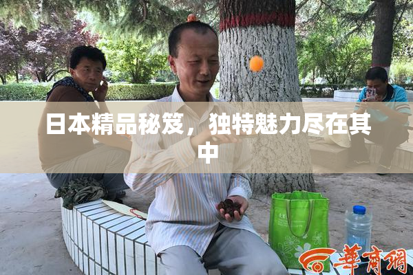 日本精品秘笈，独特魅力尽在其中