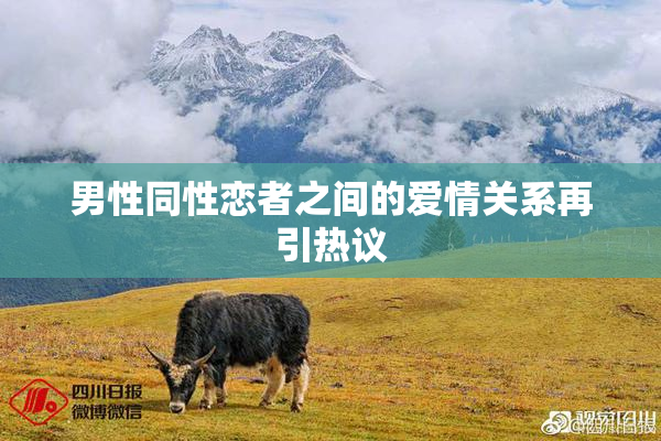 男性同性恋者之间的爱情关系再引热议