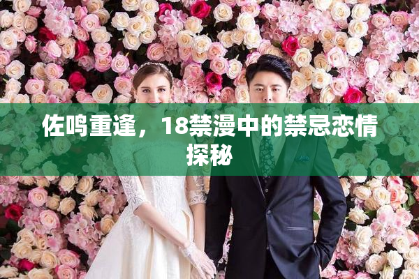 佐鸣重逢，18禁漫中的禁忌恋情探秘