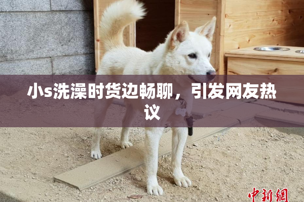 小s洗澡时货边畅聊，引发网友热议