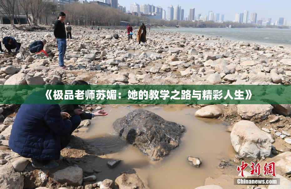 《极品老师苏媚：她的教学之路与精彩人生》