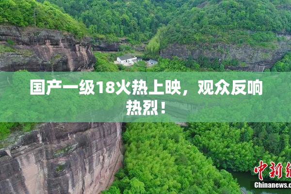 国产一级18火热上映，观众反响热烈！