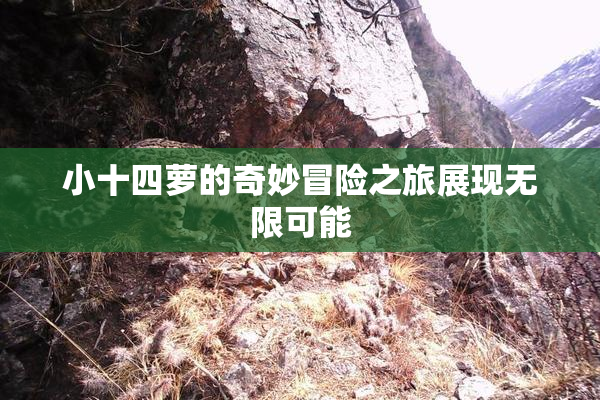 小十四萝的奇妙冒险之旅展现无限可能