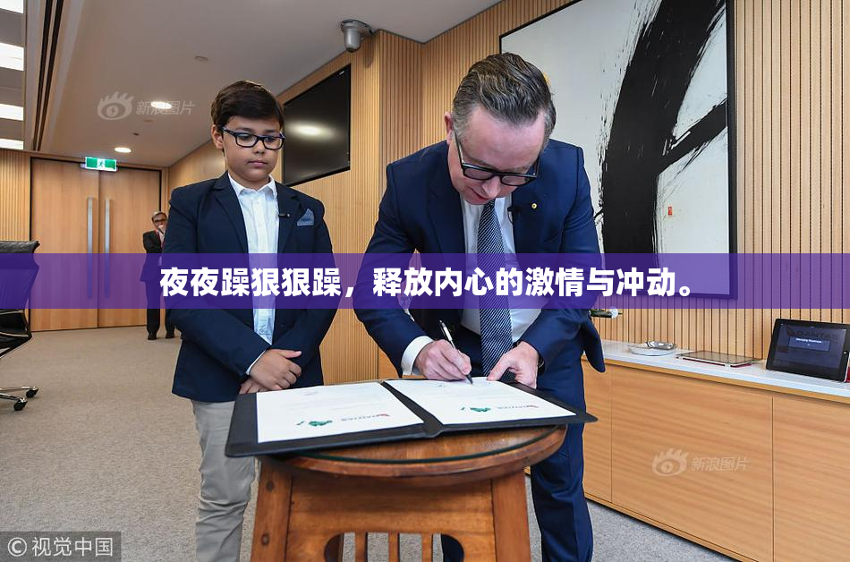 夜夜躁狠狠躁，释放内心的激情与冲动。