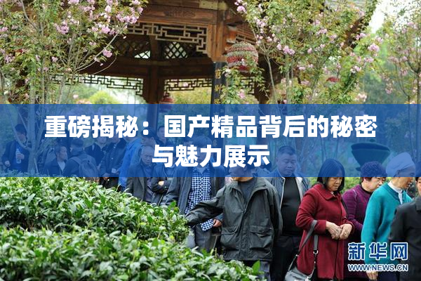 重磅揭秘：国产精品背后的秘密与魅力展示