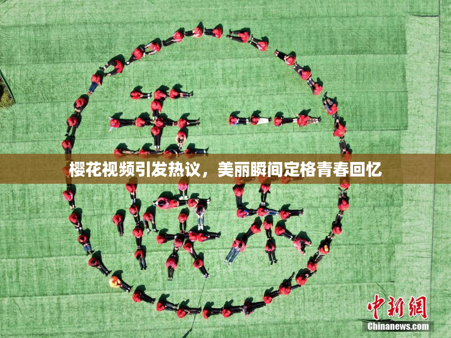 樱花视频引发热议，美丽瞬间定格青春回忆