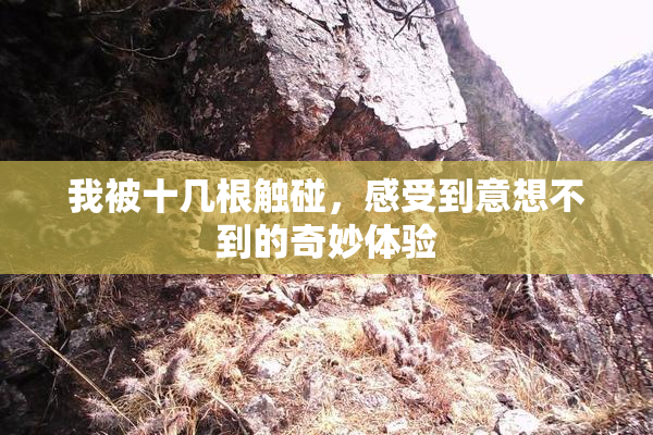 我被十几根触碰，感受到意想不到的奇妙体验