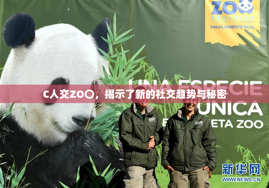 C人交ZO〇，揭示了新的社交趋势与秘密