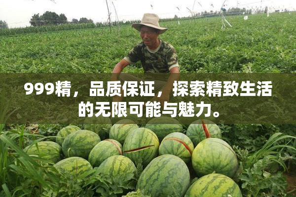 999精，品质保证，探索精致生活的无限可能与魅力。