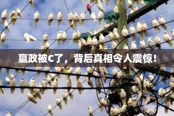 嬴政被C了，背后真相令人震惊！