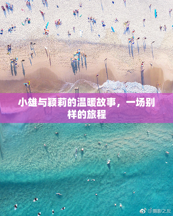 小雄与颖莉的温暖故事，一场别样的旅程