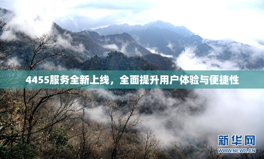 4455服务全新上线，全面提升用户体验与便捷性