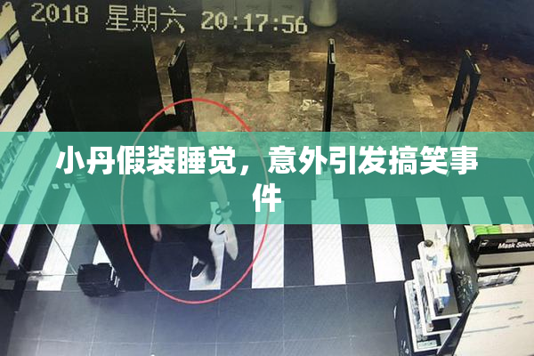 小丹假装睡觉，意外引发搞笑事件