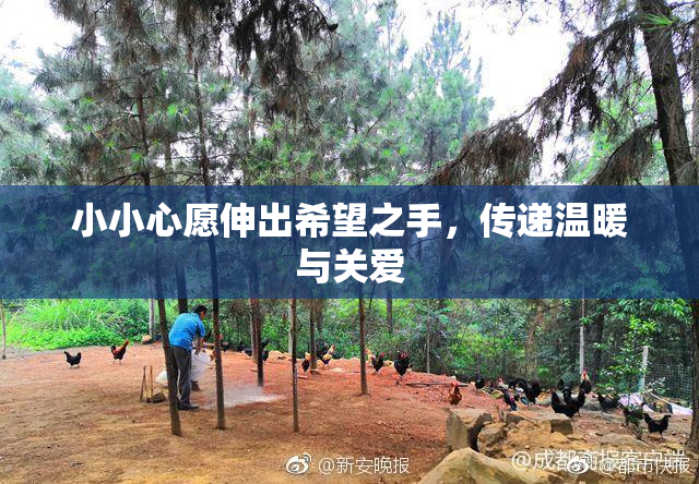 小小心愿伸出希望之手，传递温暖与关爱