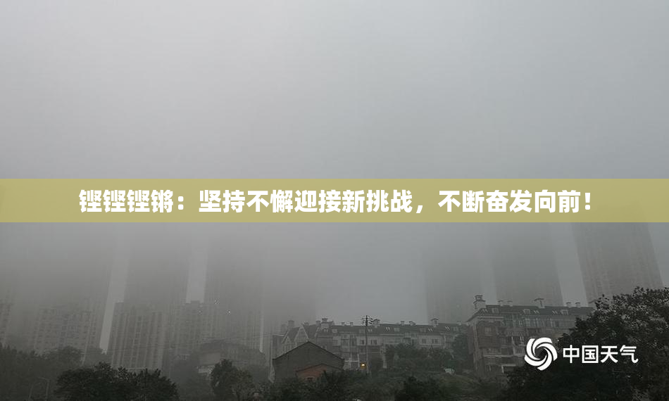铿铿铿锵：坚持不懈迎接新挑战，不断奋发向前！