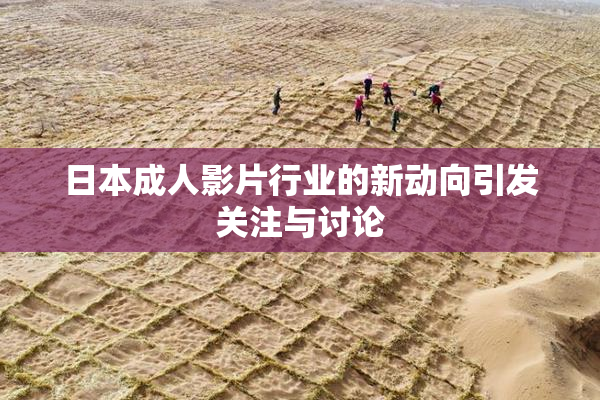 日本成人影片行业的新动向引发关注与讨论