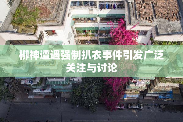 柳神遭遇强制扒衣事件引发广泛关注与讨论