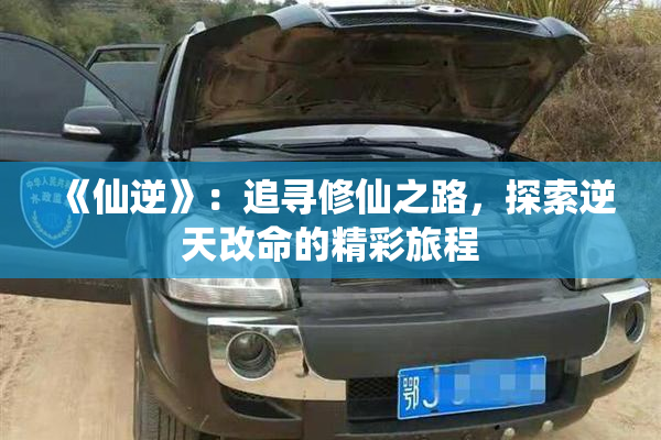 《仙逆》：追寻修仙之路，探索逆天改命的精彩旅程