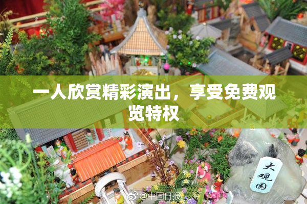 一人欣赏精彩演出，享受免费观览特权