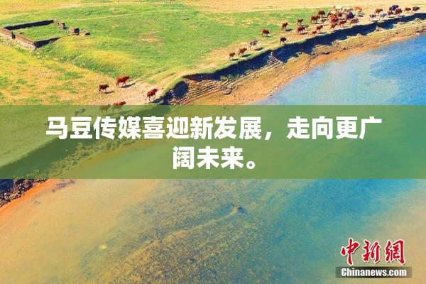 马豆传媒喜迎新发展，走向更广阔未来。