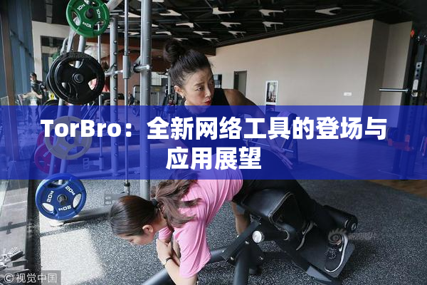 TorBro：全新网络工具的登场与应用展望