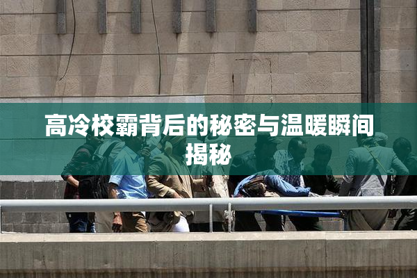 高冷校霸背后的秘密与温暖瞬间揭秘