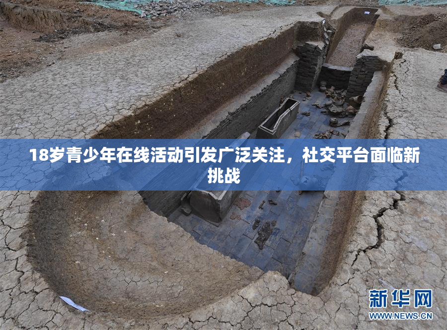 18岁青少年在线活动引发广泛关注，社交平台面临新挑战