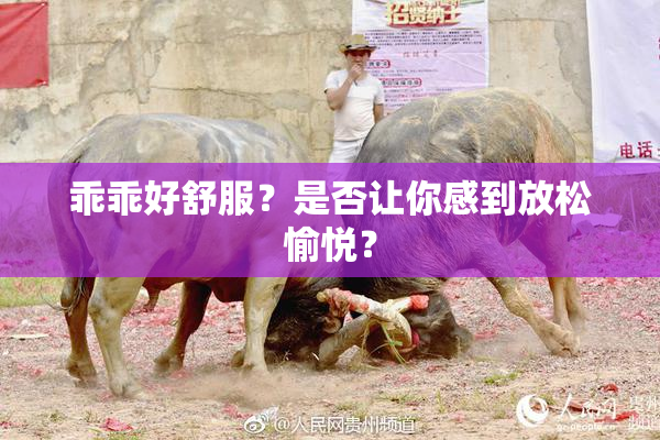 乖乖好舒服？是否让你感到放松愉悦？