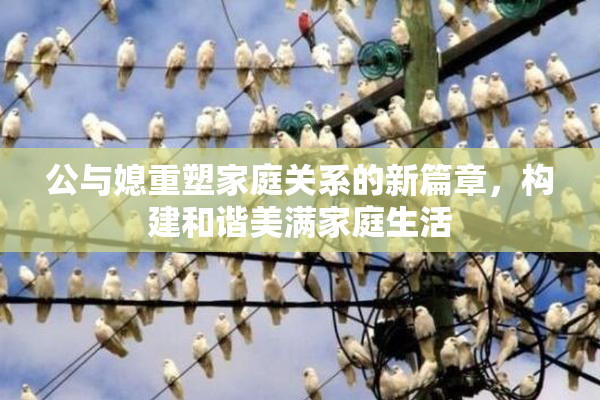 公与媳重塑家庭关系的新篇章，构建和谐美满家庭生活