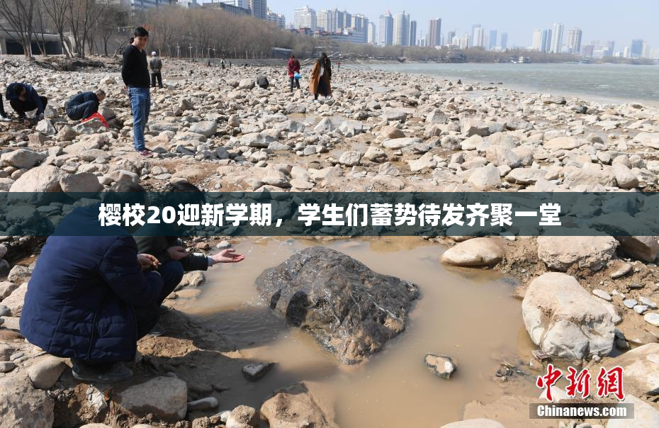 樱校20迎新学期，学生们蓄势待发齐聚一堂