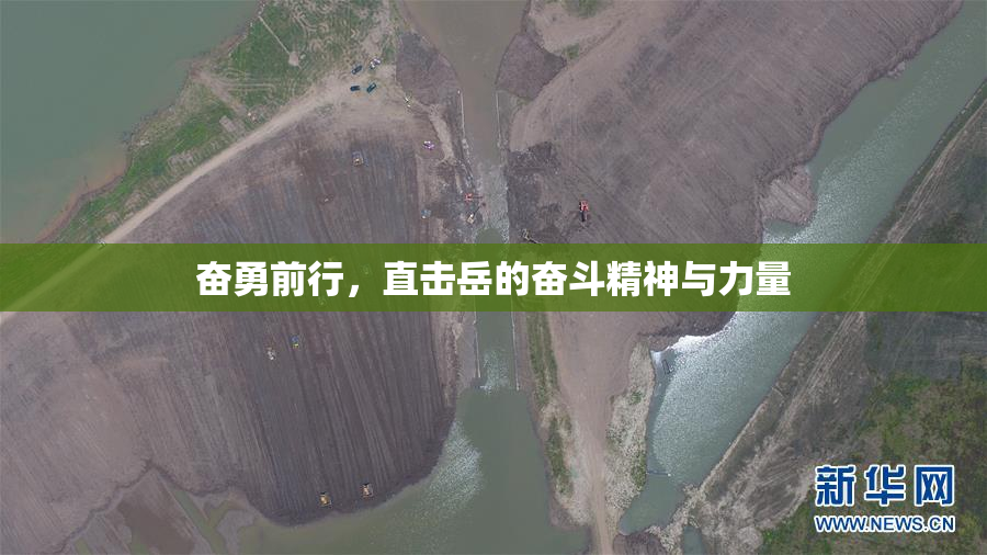 奋勇前行，直击岳的奋斗精神与力量