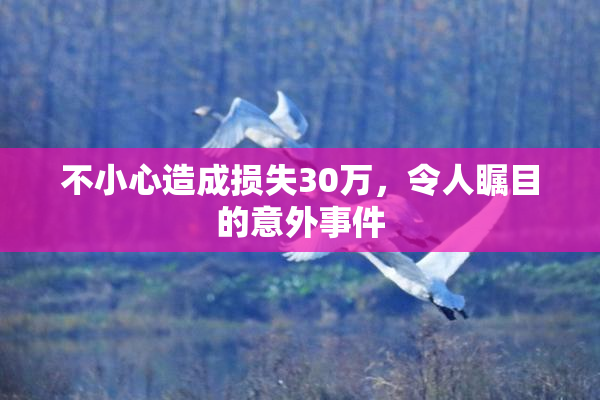 不小心造成损失30万，令人瞩目的意外事件