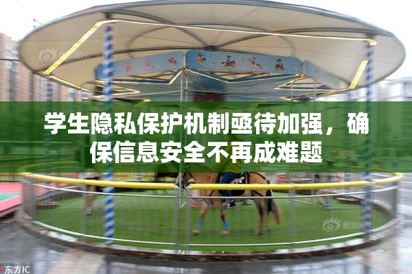 学生隐私保护机制亟待加强，确保信息安全不再成难题