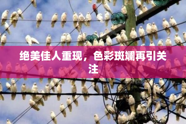绝美佳人重现，色彩斑斓再引关注