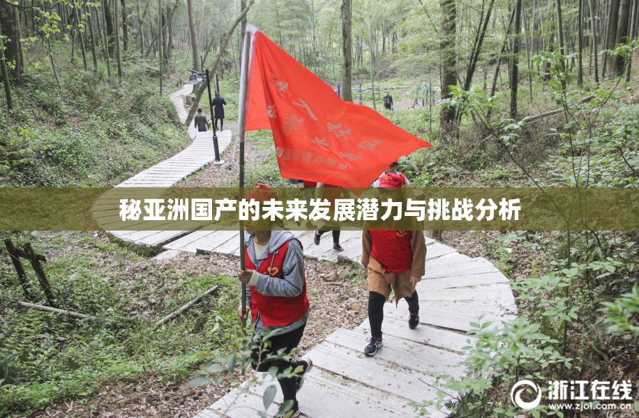 秘亚洲国产的未来发展潜力与挑战分析