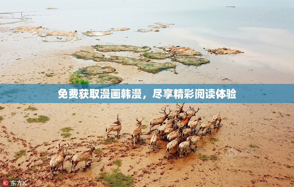 免费获取漫画韩漫，尽享精彩阅读体验