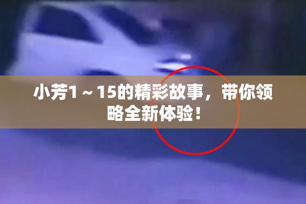 小芳1～15的精彩故事，带你领略全新体验！