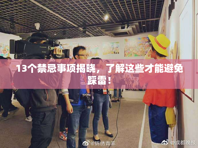 13个禁忌事项揭晓，了解这些才能避免踩雷！