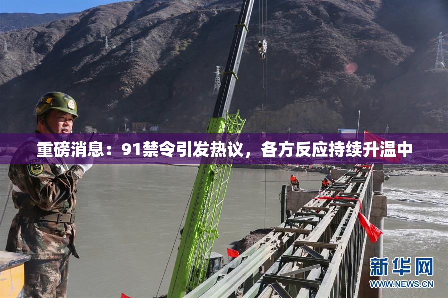 重磅消息：91禁令引发热议，各方反应持续升温中