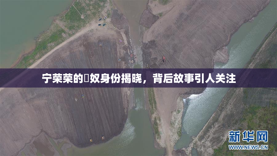 宁荣荣的婬奴身份揭晓，背后故事引人关注