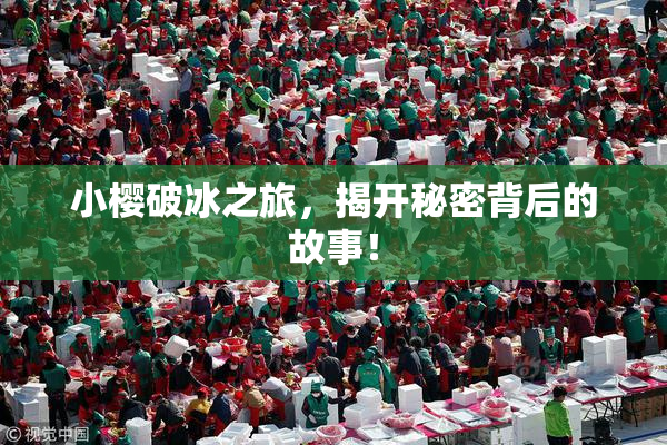小樱破冰之旅，揭开秘密背后的故事！